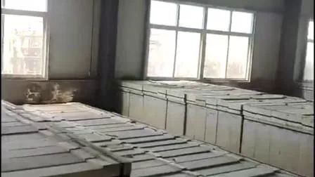 6mm 8mm 10mm 12mm Clear Tempered Shower Glass Factory ANSI