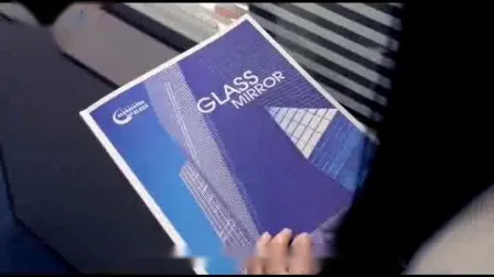 Frameless Low Iron Shape Designed 6mm/8mm/10mm/12mm Float Safety Flat Tempered Glass for Shower Door